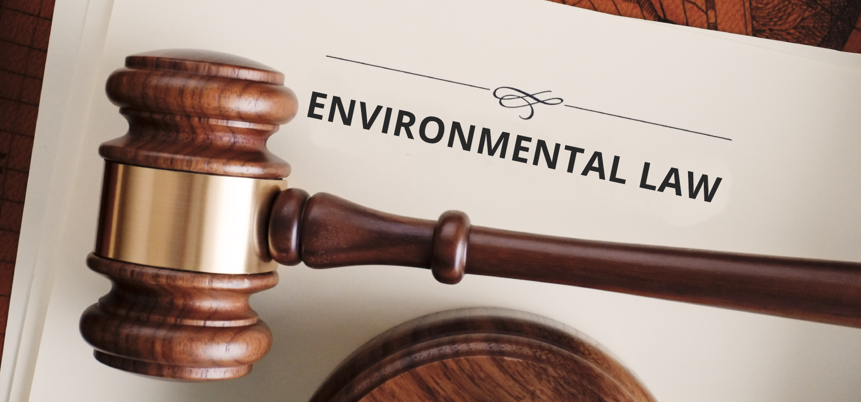 Environmental Law Pheello Dikane Inc 